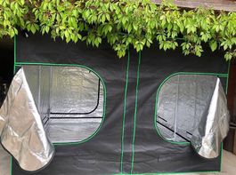 3x3 M Gewächshaus Grow Zelt