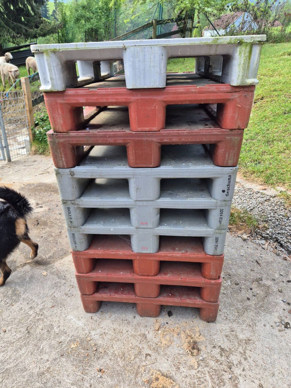 Pallets: Kunststoff-Palett  SBB Palett – Usato da Stein AR venduto da Bienli4 1