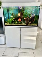 Eheim,Aquarium,