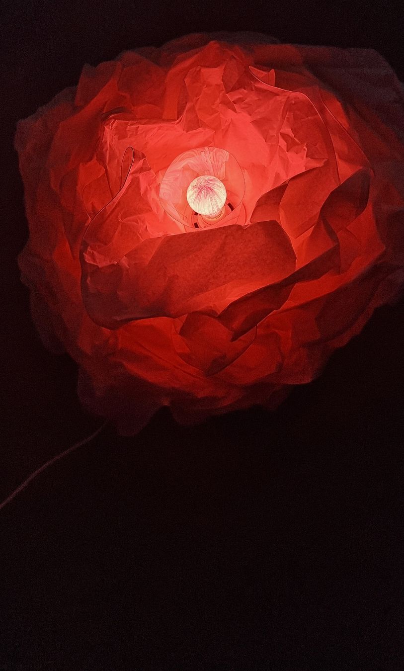 Lampen: Deko-Lampe, Blumenform, Lampe – Gebraucht aus Winterthur von Einkaufszentrum 2