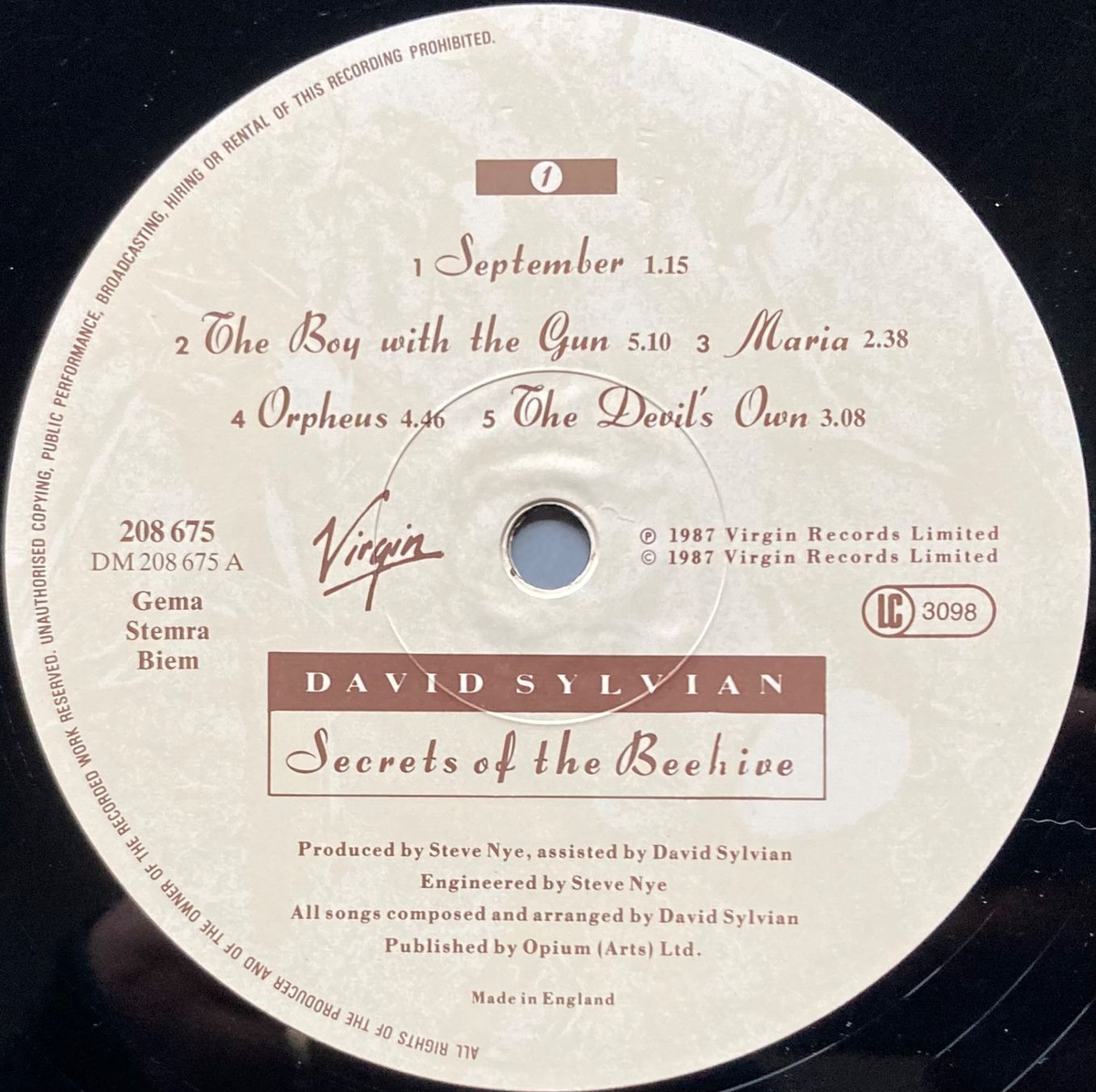 Dischi in vinile: DAVID SYLVIAN - SECRETS OF THE BEEHIVE – Usato da Poliez-Pittet venduto da Newtown-Records 3