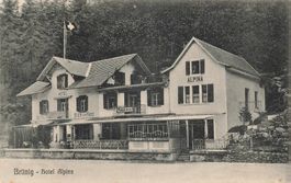 Brünig Hotel Alpina