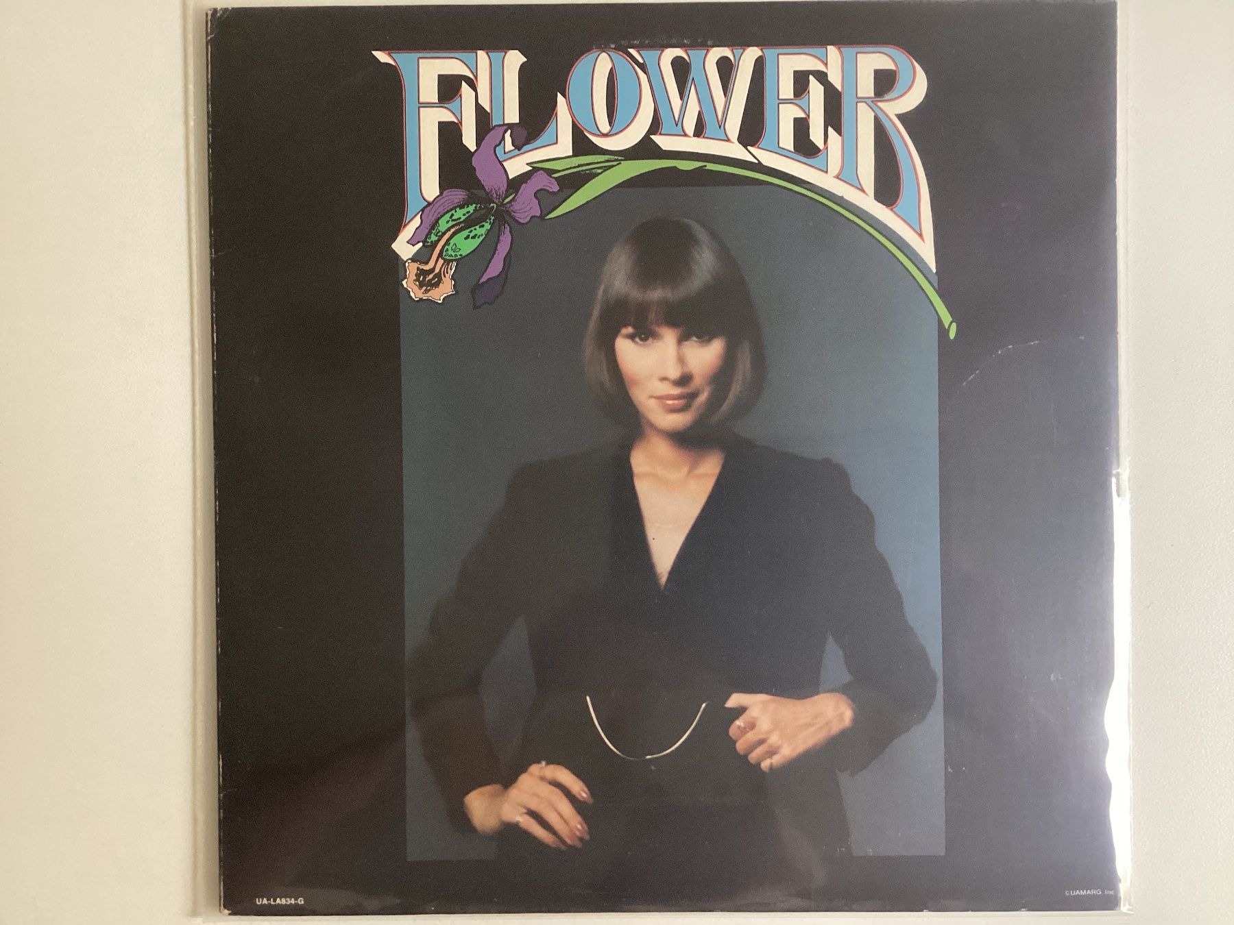 Dischi in vinile: Flower LP – Usato da Gutenswil venduto da Hamzian