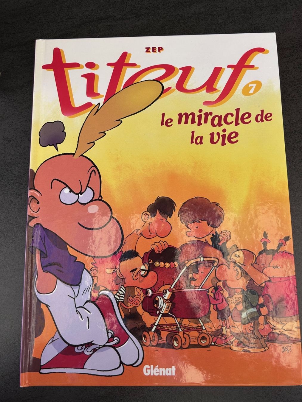 Fumetti: BD Titeuf T. 7 Le miracle de la vie – Usato da Farvagny-le-Grand venduto da OlivierFurrer