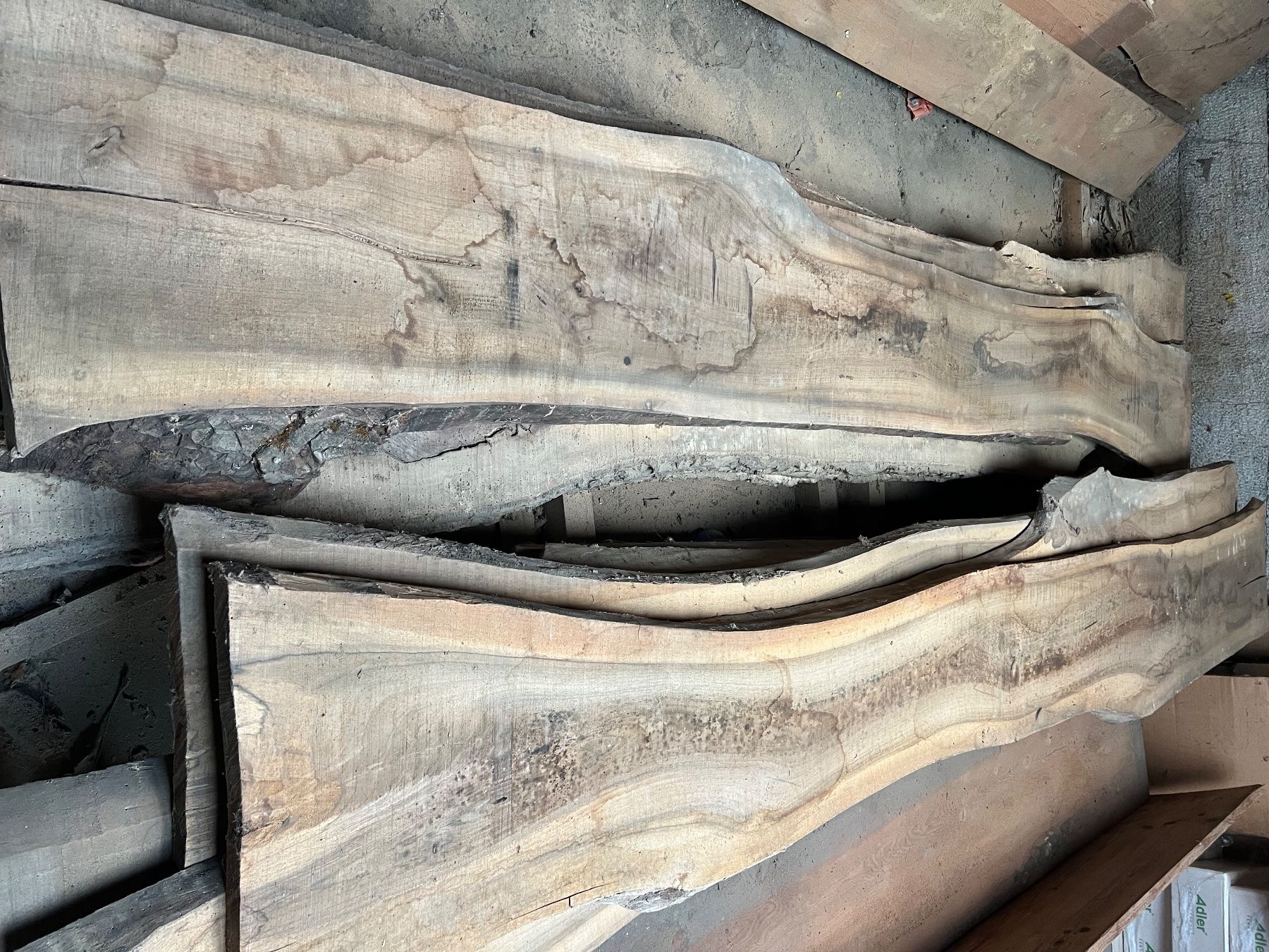 Articoli in legno: Bretter Nussbaum – Usato da Ostermundigen venduto da mapa9 3