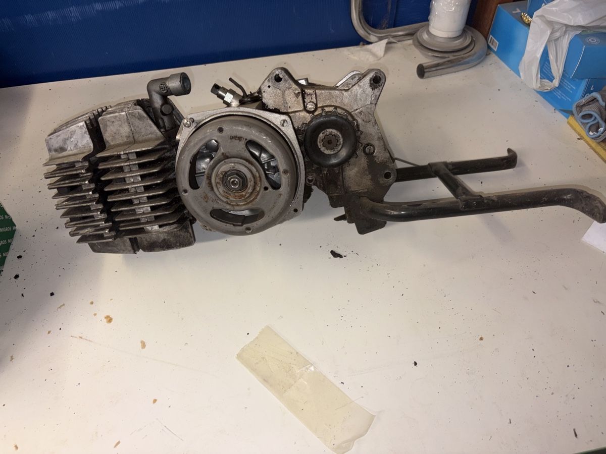 Puch Motori: Puch Supermaxi ZA50 Motor  – Usato da Coppet venduto da Oli_1905_23 1