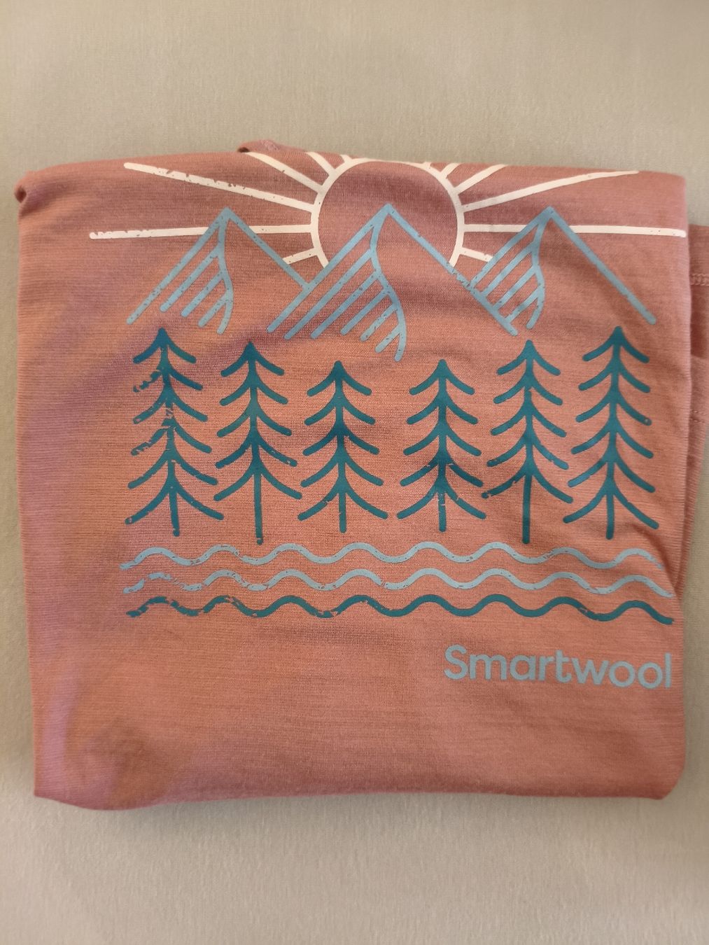 Smartwool Tops: Merino Tanktop Smartwool L – Neu (gemäss Beschreibung) aus Rüti ZH von gho_77g2 3