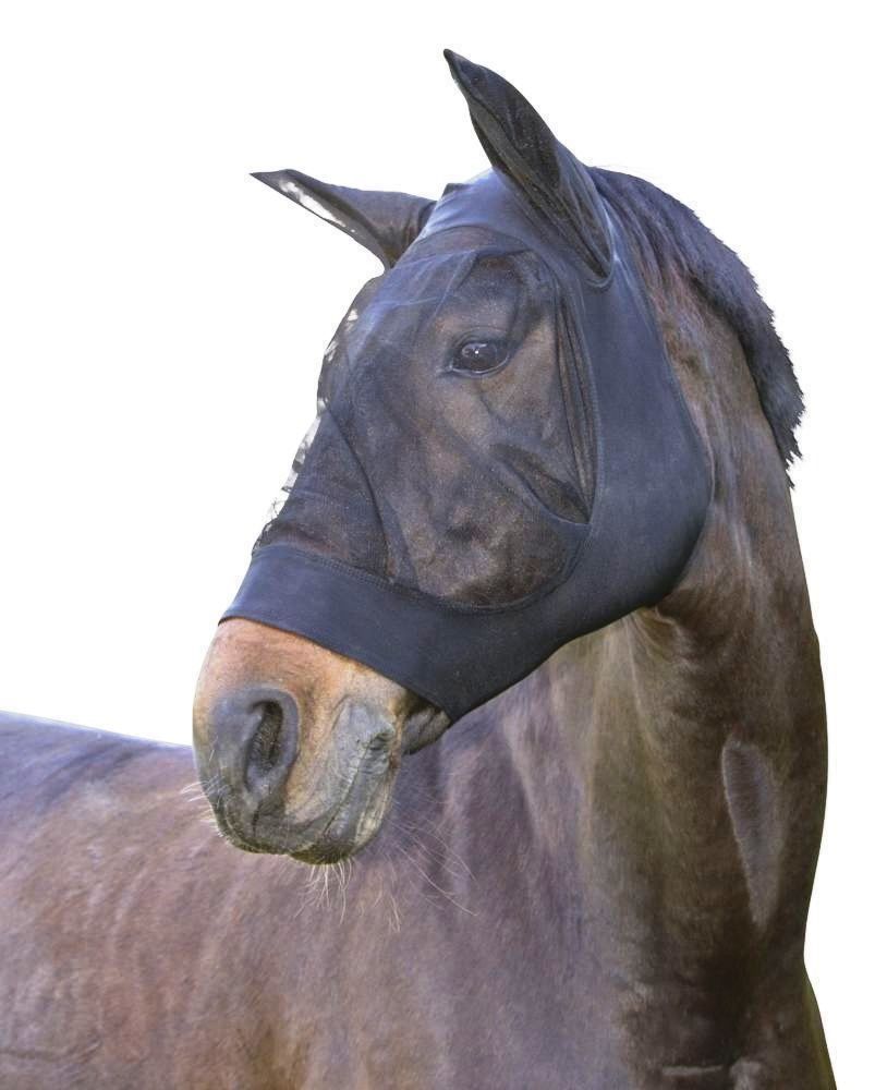 Altro in Accessori per animali: Pferde-Fliegenschutzmaske FinoStretch – Nuovo e nell'imballaggio originale da St. Gallen venduto da schnaeppchen-preise 1