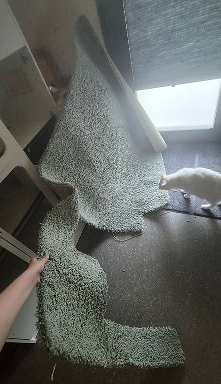 Ikea Tappeti: Ikea Teppich – Usato da Worb venduto da Excalire 1