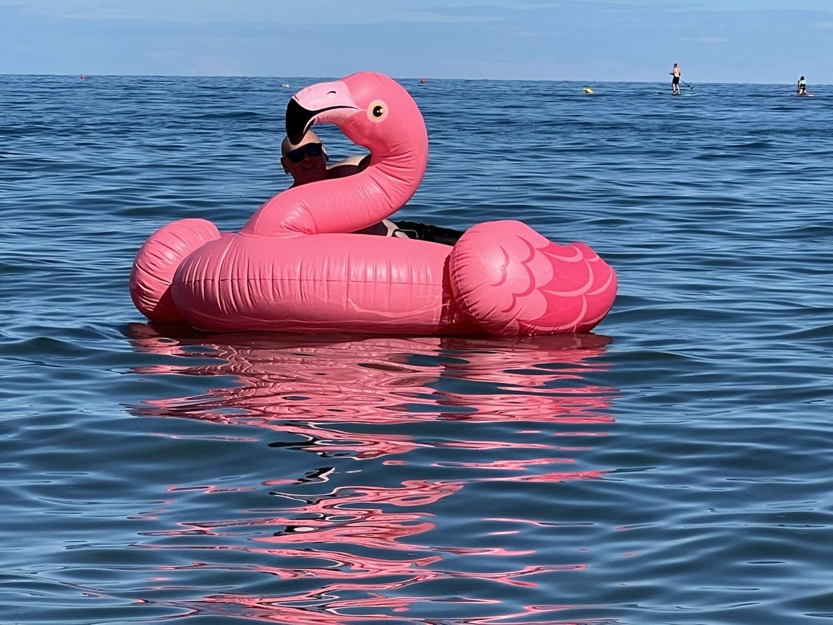 Salvagente: Flamingo  – Usato da Gommiswald venduto da tho_l9zt