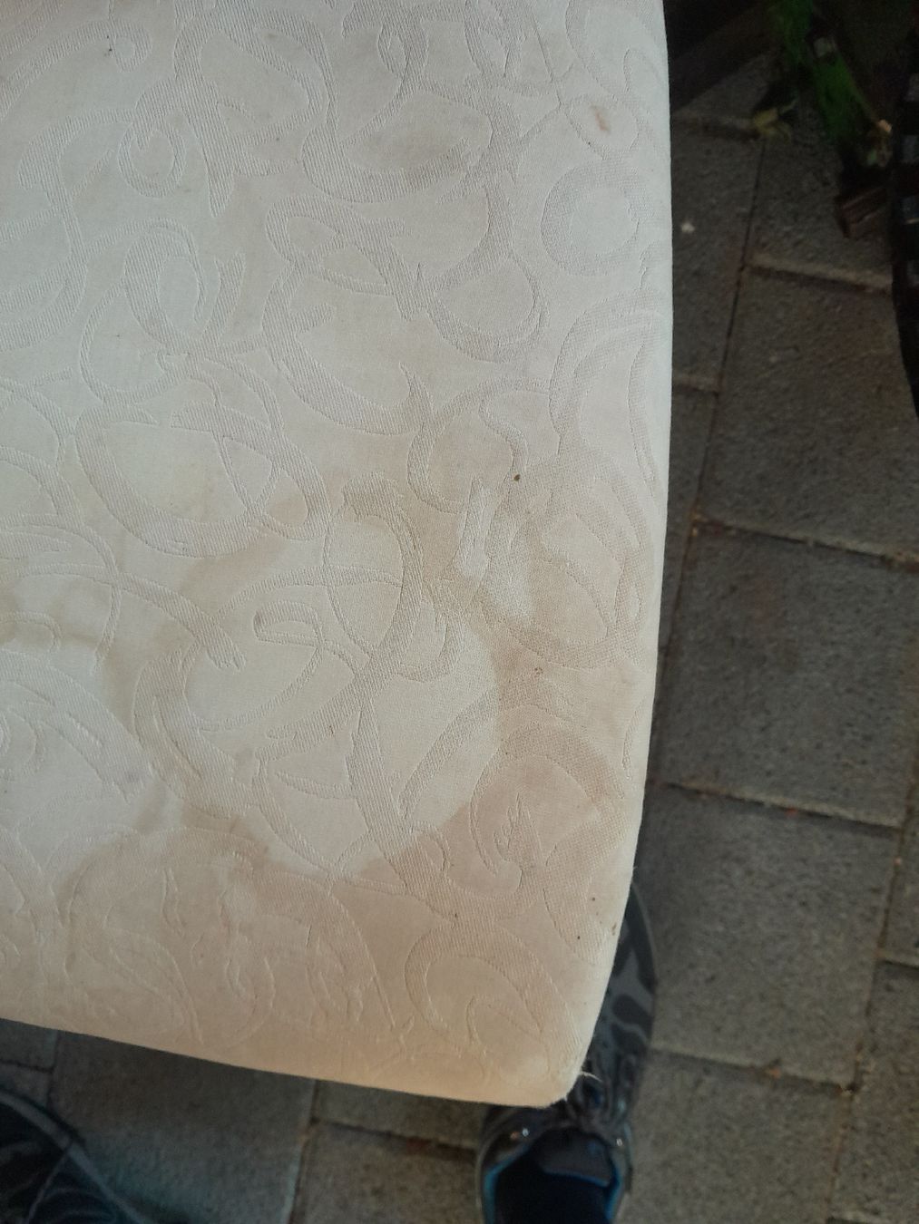 Chaises: 4 Stühle – D'occasion à Studen SZ par Mostelbock02 3