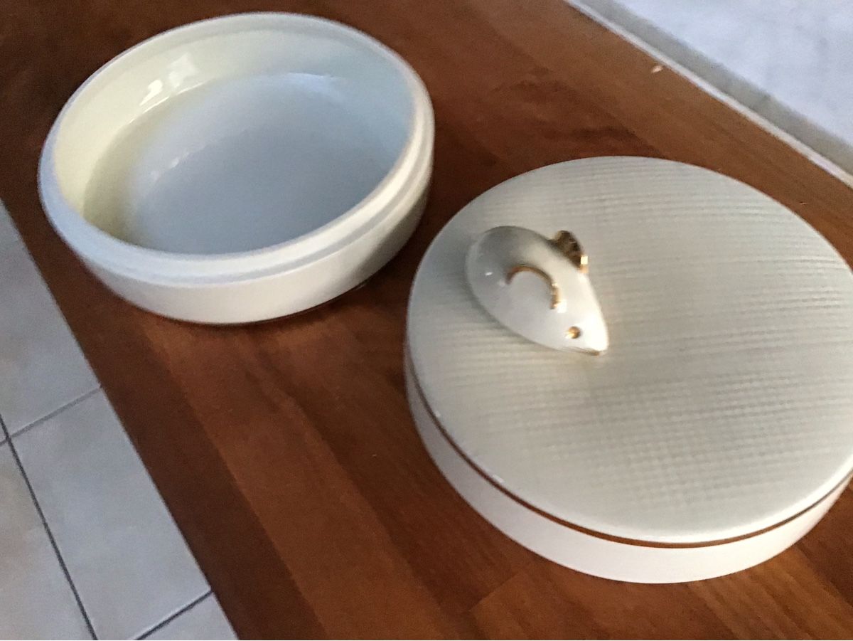 Servierplatten: Vide poche – Gebraucht aus Plan-les-Ouates von Cassero 1