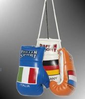 🥊 PAFFEN SPORT® Mini-Boxhandschuhe LÄNDER Auto – WM 2026