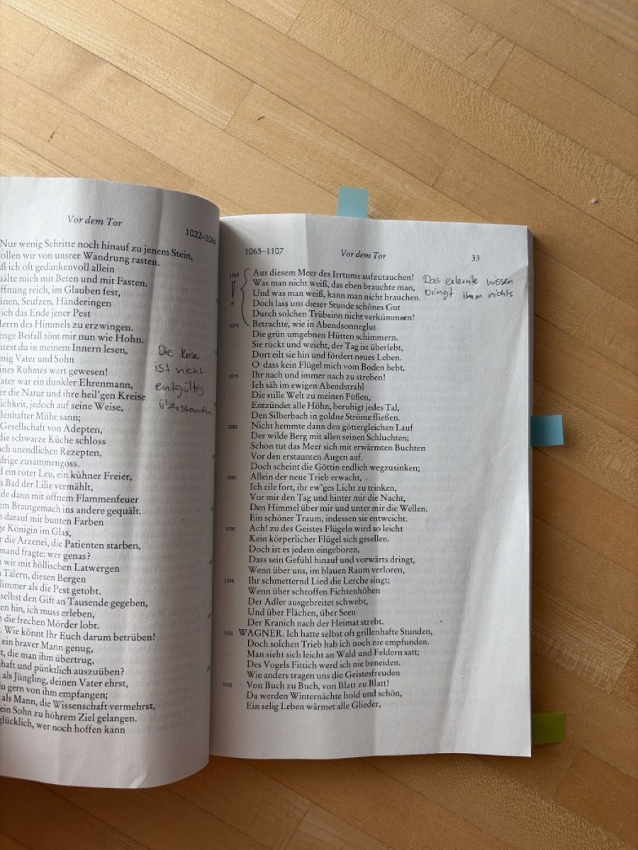 Libri: Faust Buch – Usato da Wangs venduto da SarahMeier1999 1