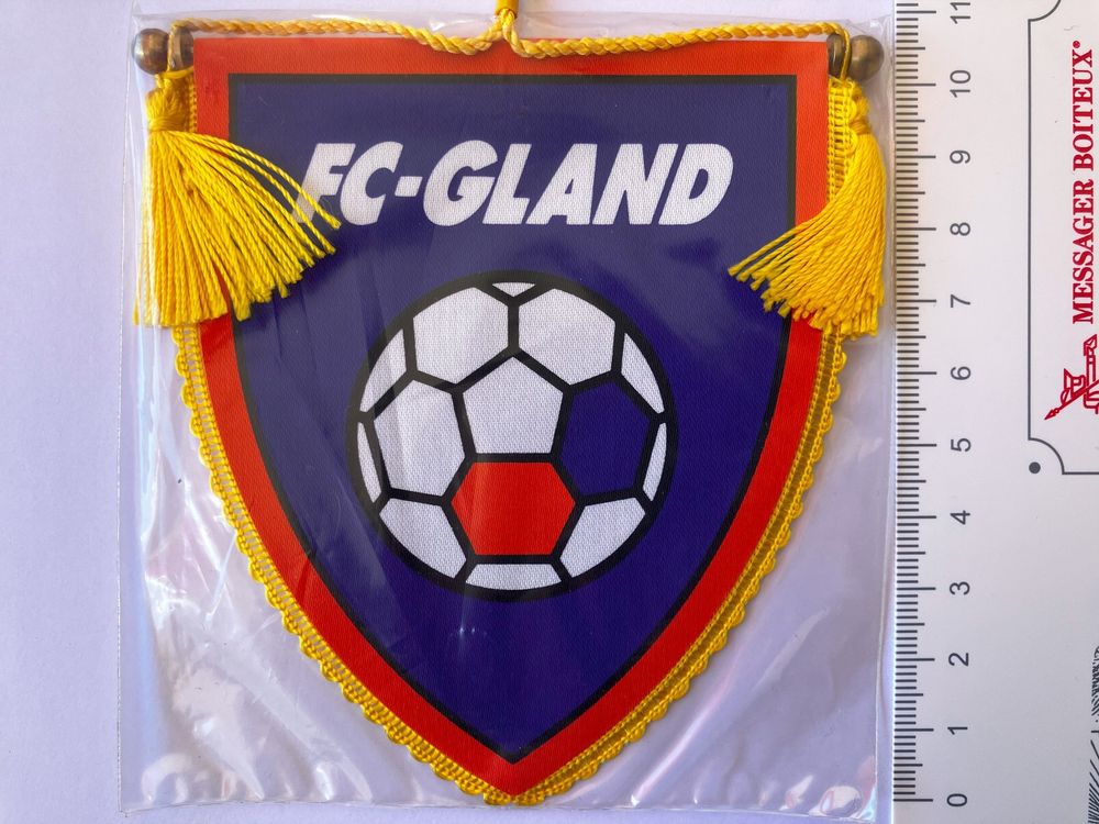 Fanion FC Tbilissi – Wimpel Géorgie – Petit Drapeau De Collection Football