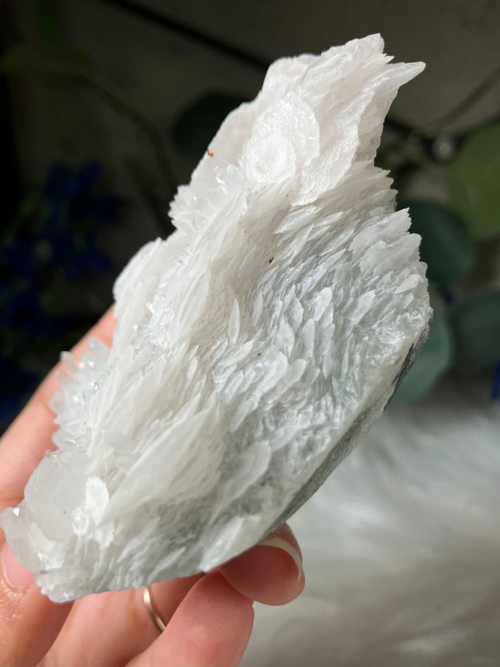 Pietre preziose: Pink Petal Calcit auf Quarz – Nuovo (secondo la descrizione) da Neuheim venduto da m.hald 2