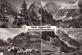 AK Rest. Alpenrösli Surenental/Engelberg