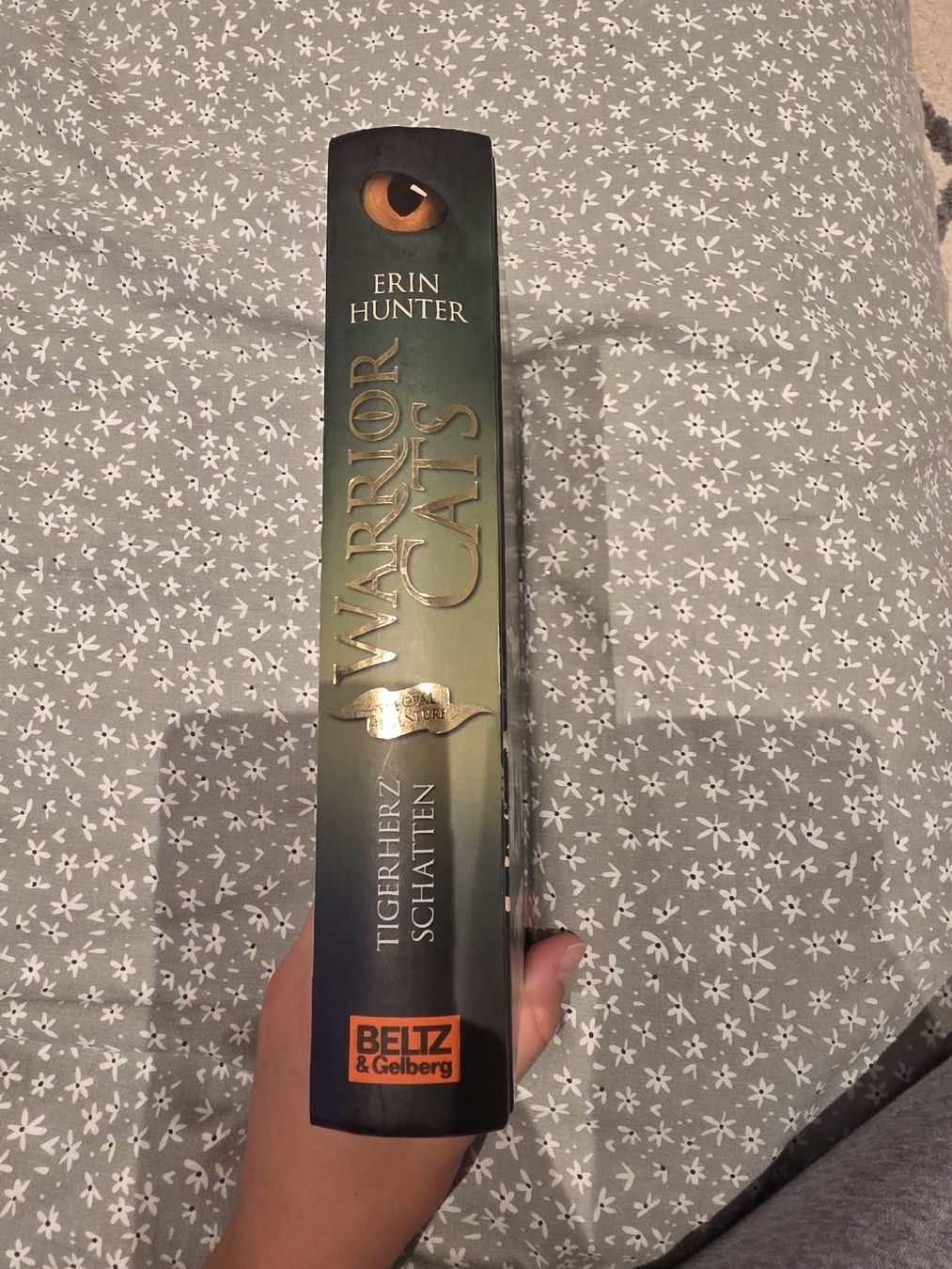 Bücher: Warrior Cats Tigerherz Schatten Buch gebraucht – Gebraucht aus Näfels von TschudiD 1