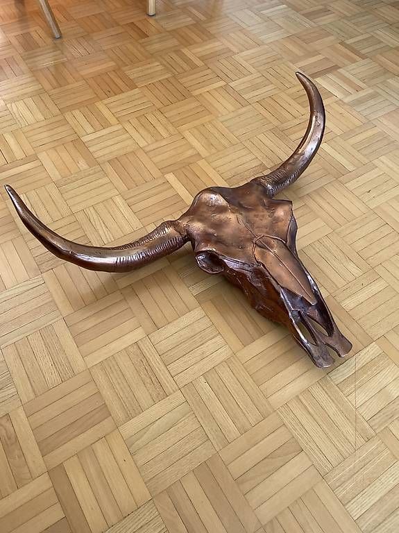Tutte le decorazioni: Wanddekoration Bison Schädel – Usato da Luzern venduto da Claudius_Schumacher