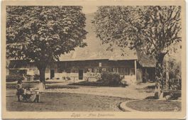 LANDWIRTSCHAFT/BAUERNHAUS 1919 Lyss BE