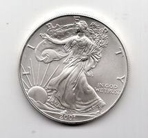 (1326) USA, 1 Eagle Silber Unze, 2001, stgl