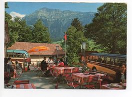 KÜSSNACHT AM RIGI Hotel Seebodenalp - Reise-Bus