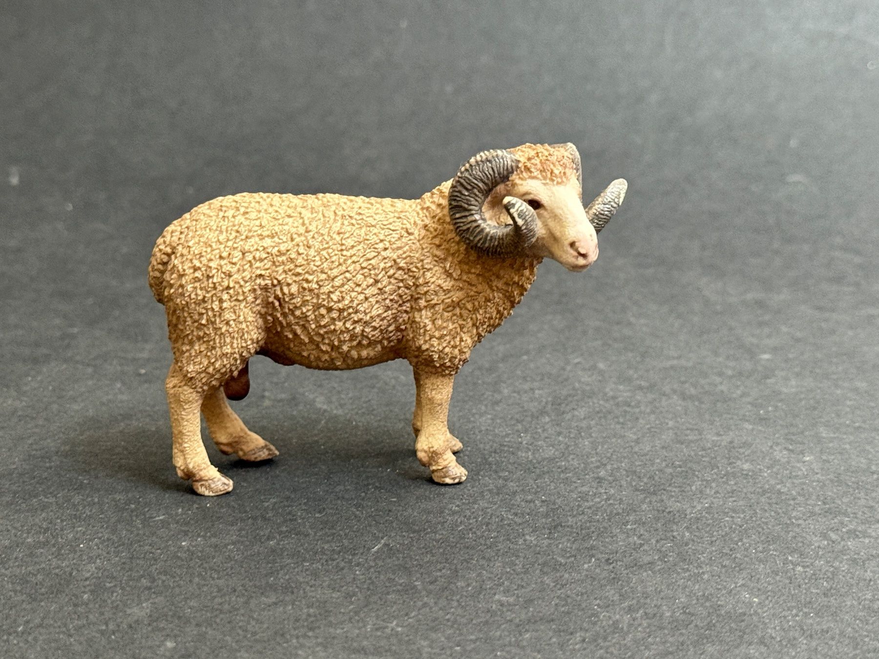 Schleich Statuette: Schleich Widder 13726 Schaf Schafbock – Usato da Ennetbaden venduto da mapa05