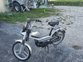 A vendre pony 503 gtx