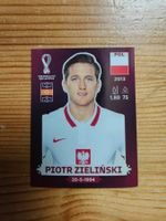 Panini WM 2022-POL 16
