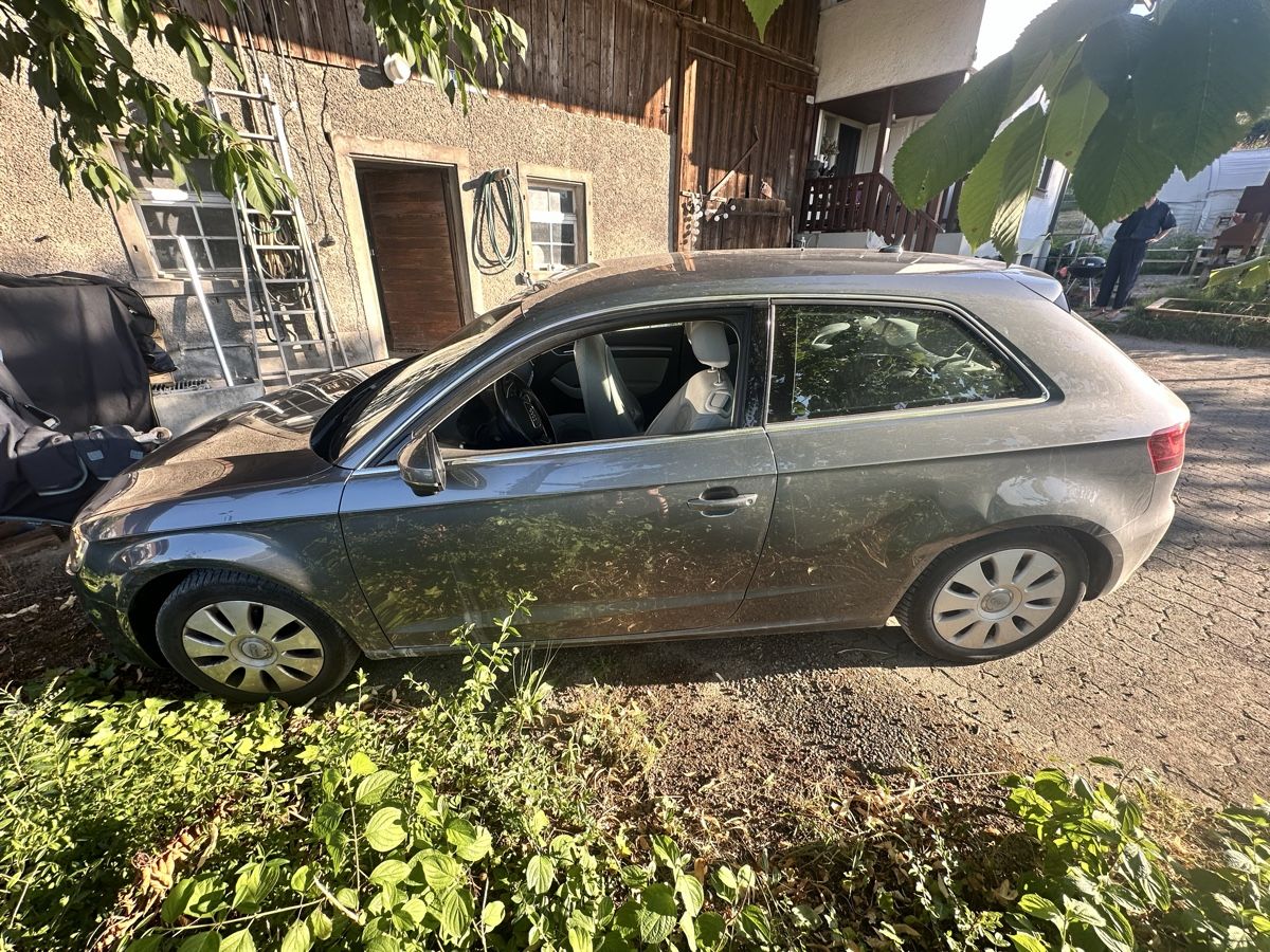 Audi Automobili: Audi A3 1.4 TSFi – Usato da Ebmatingen venduto da isabelmaiwald 2