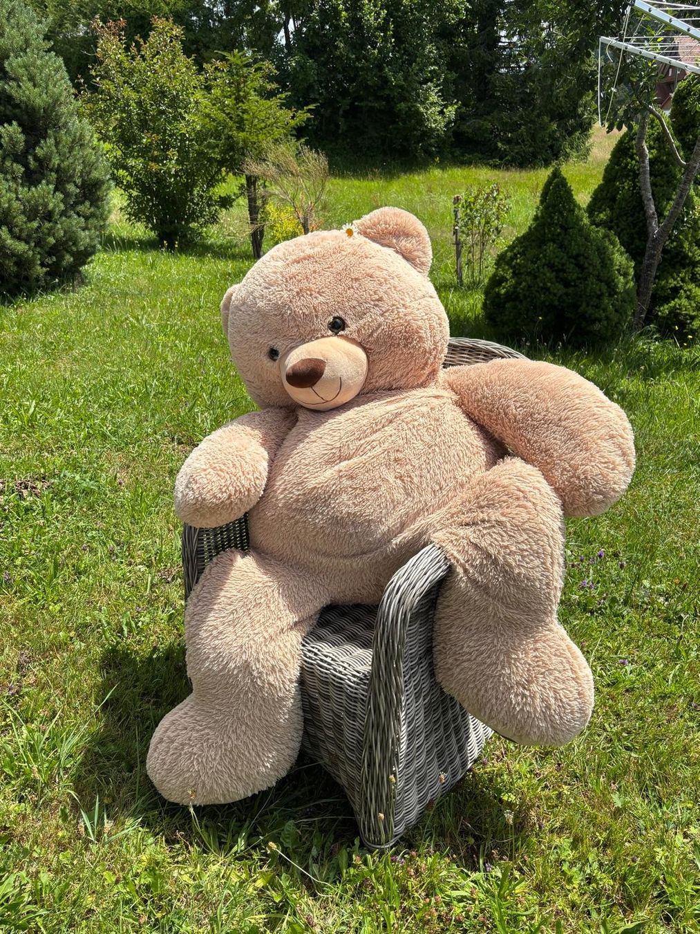 Jouets: XXL Teddybär – D'occasion à Bennau par Stierweid 1