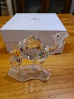 Swarovski Figur Kamel Originalverpackt 
