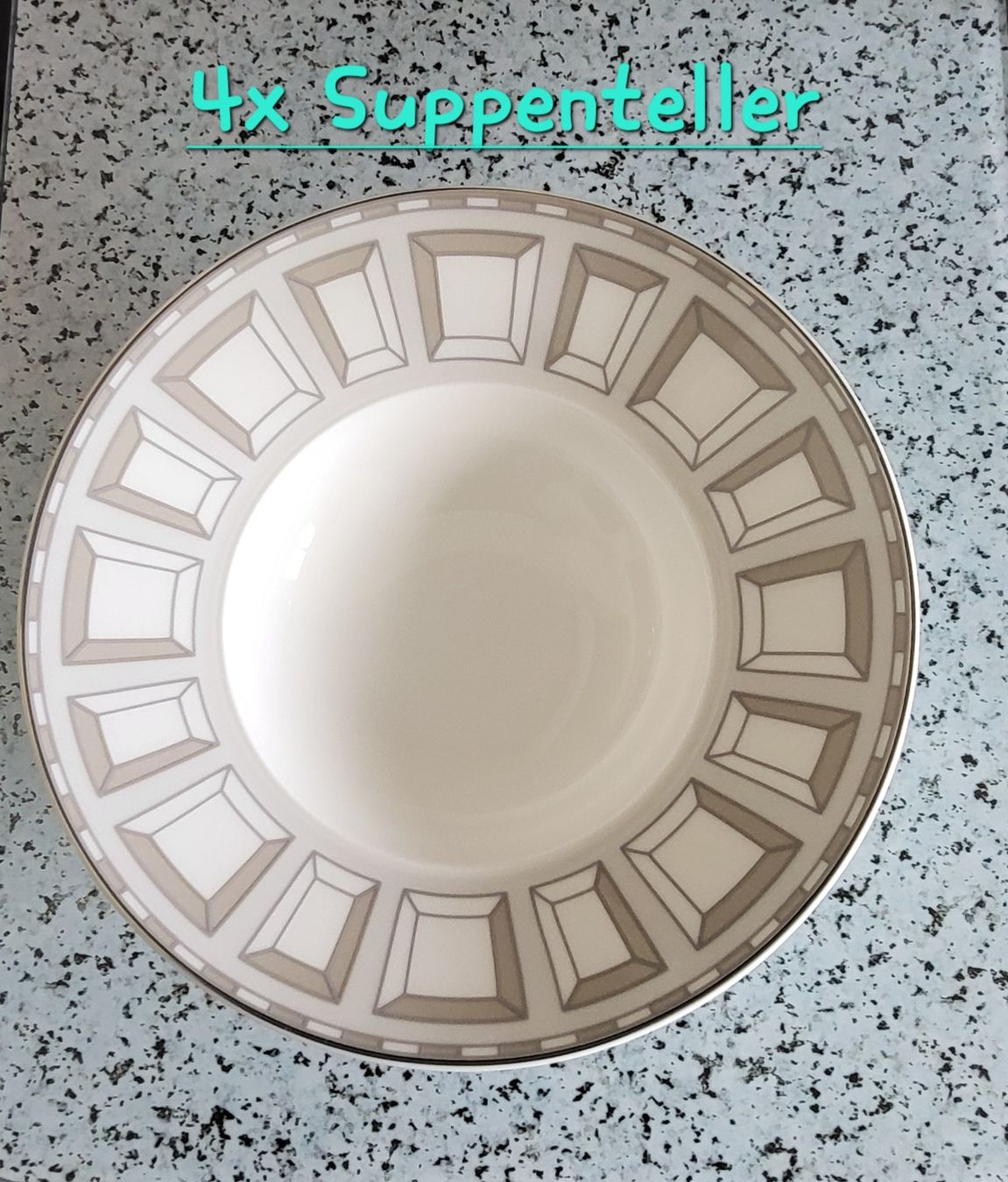 Villeroy & Boch Set di piatti: Villeroy & Boch Geschirrset mit Platin Rand – Nuovo e nell'imballaggio originale da Riehen venduto da roma25SA 2