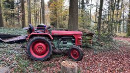 Hürlimann D 60 Bj 1956