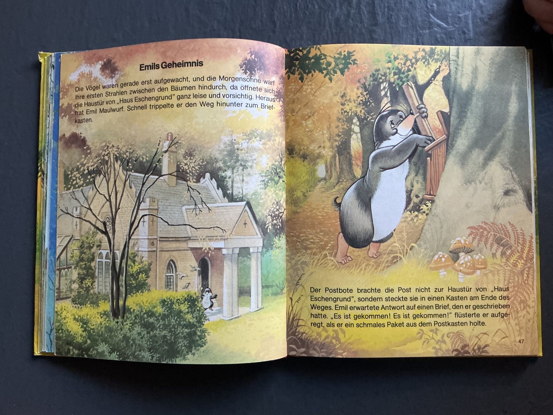 Bücher: Meine Freunde im Walde – Gebraucht aus Niederhasli von ercp4 2