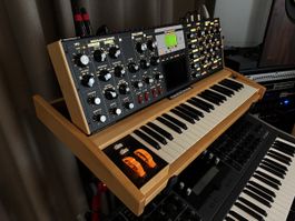 Moog Voyager - Solar Maple - Select Series - Synthesizer