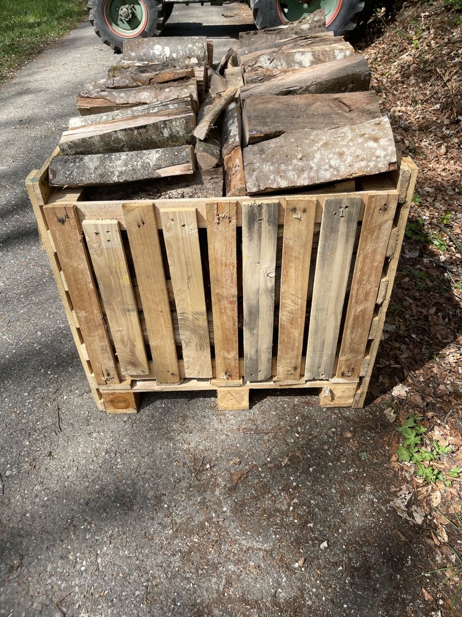 Articoli in legno: Brennholz/Feuerholz/Grillholz – Nuovo e nell'imballaggio originale da Hemmental venduto da _P2000_ 2