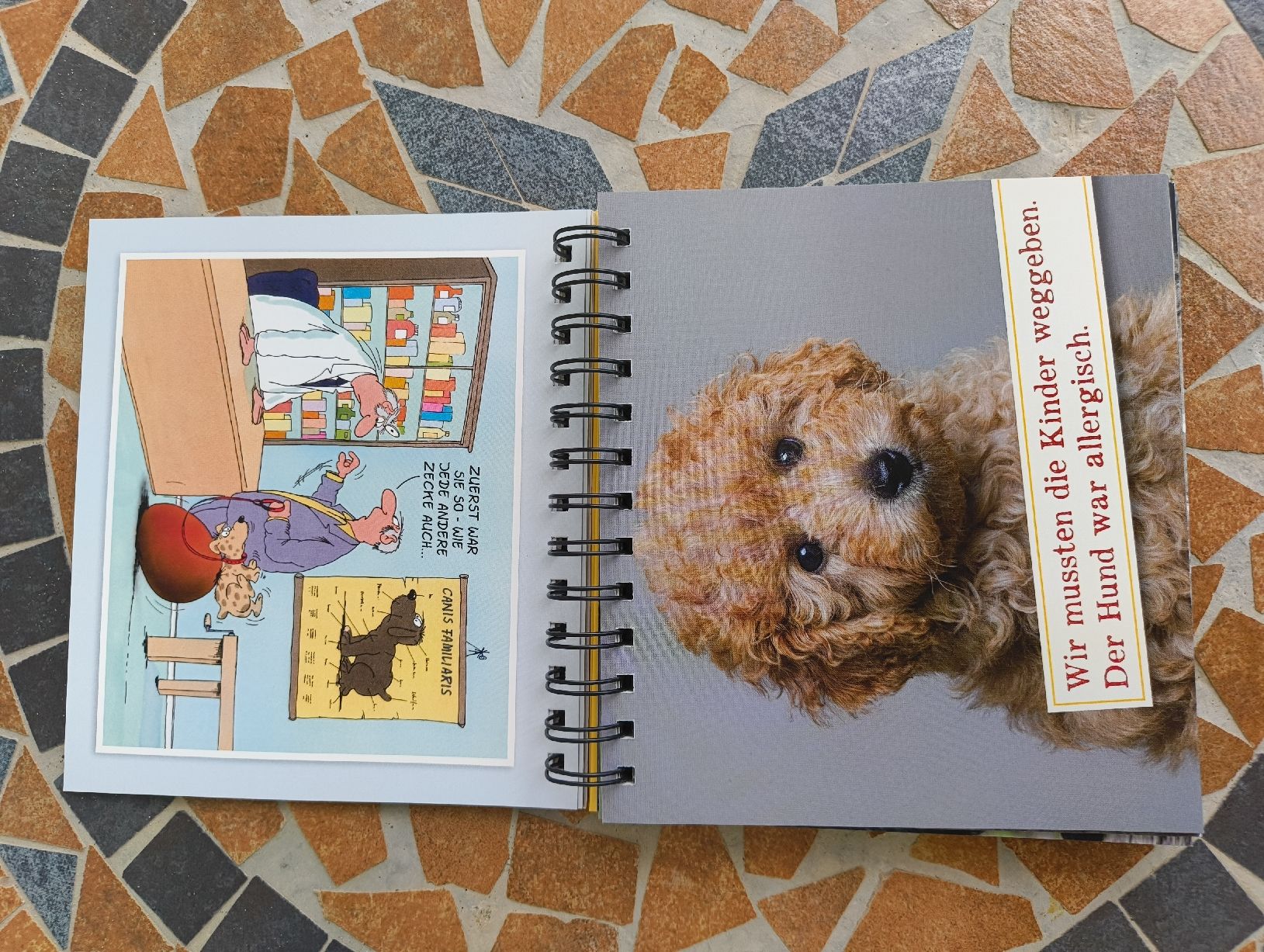 Bücher: Uli Stein für echte Hundefreunde  – Gebraucht aus Kyburg von mir_8b67 4