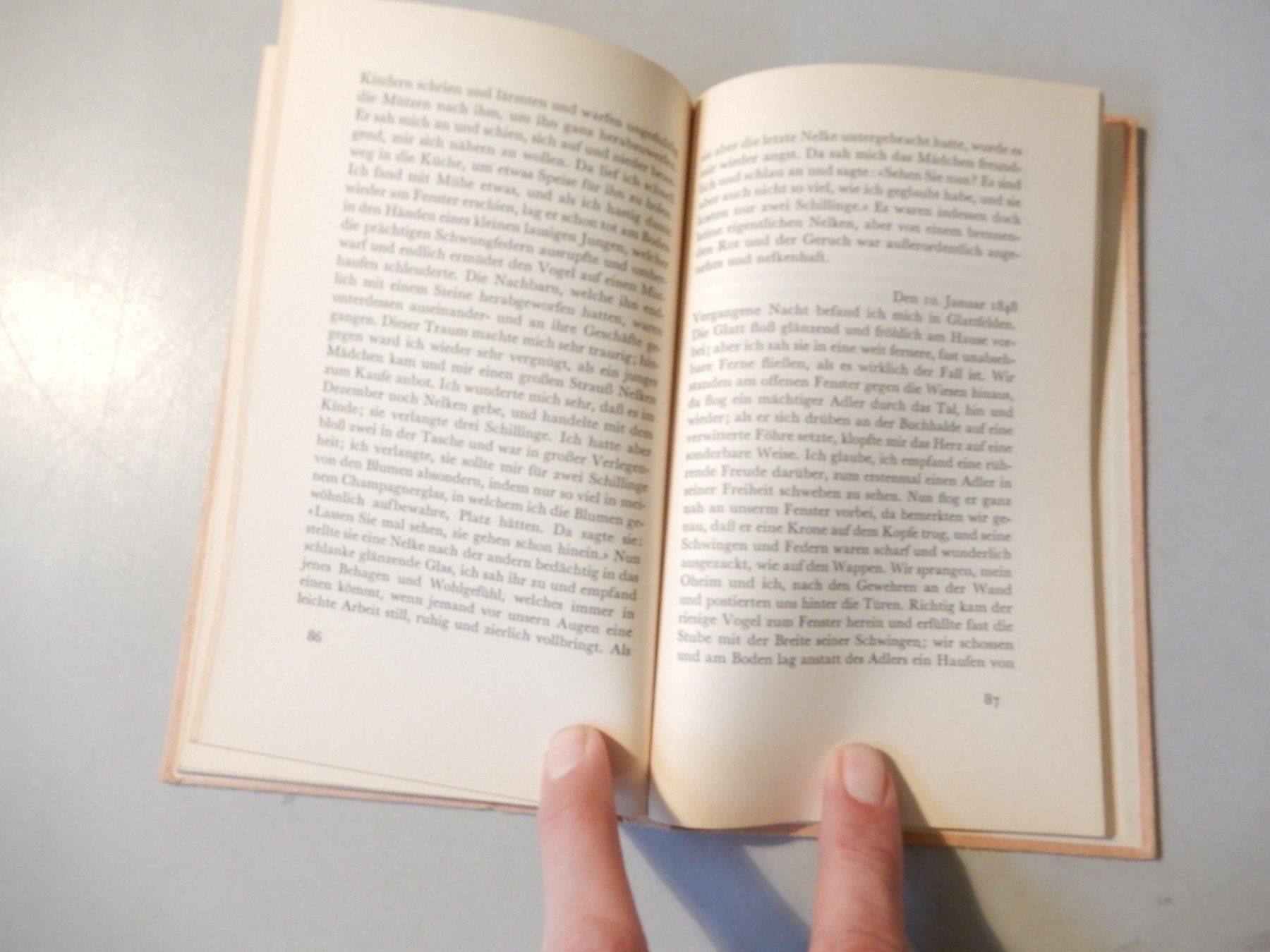 Bücher: Gottfried Keller: Das Tagebuch und das Traumbuch – Gebraucht aus Erstfeld von Mario_boe0 8