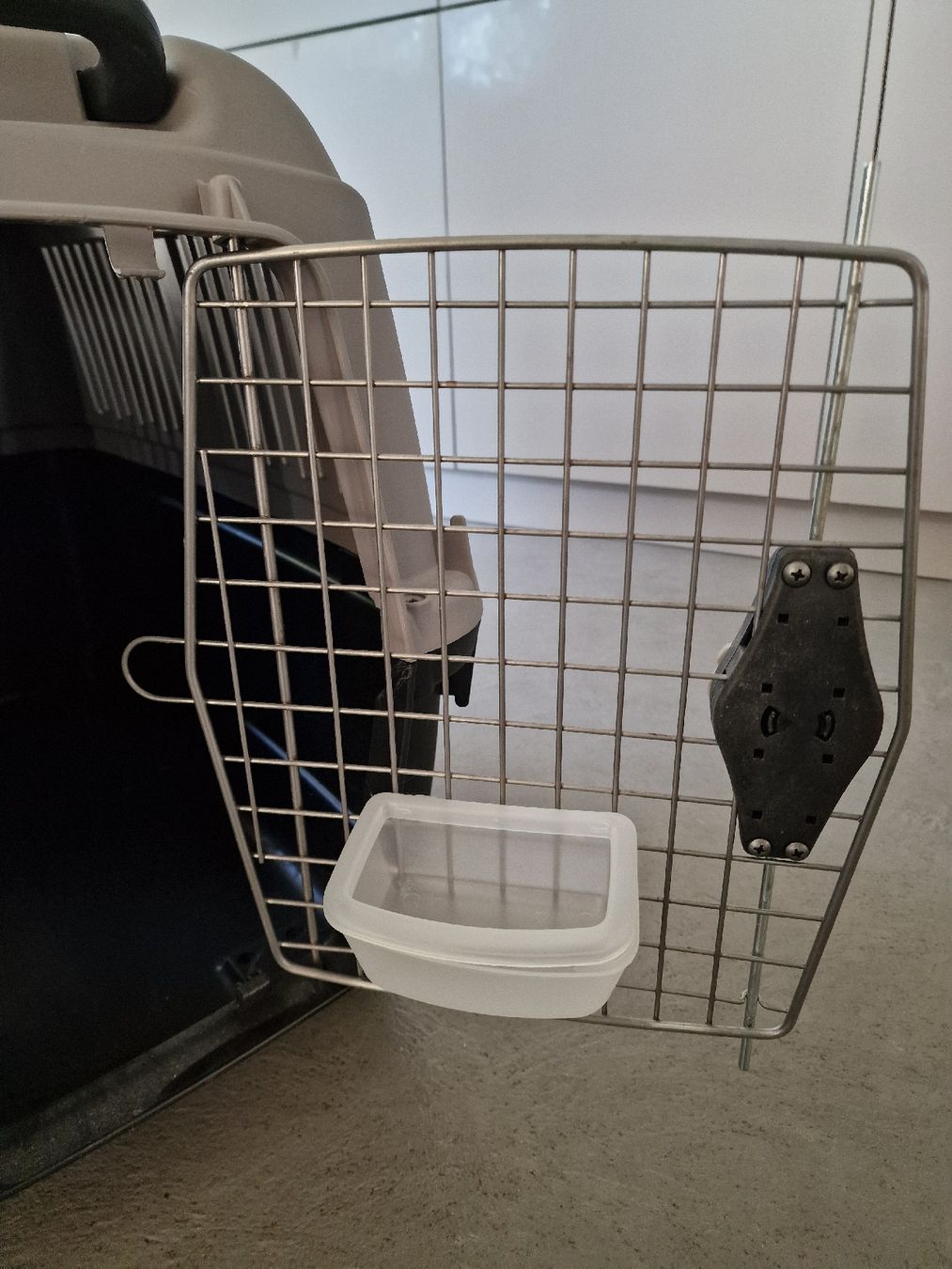Käfige, Transport & Sicherheit: Hundebox Bracco Travel 4 – Gebraucht aus Köniz von nicolegru 4