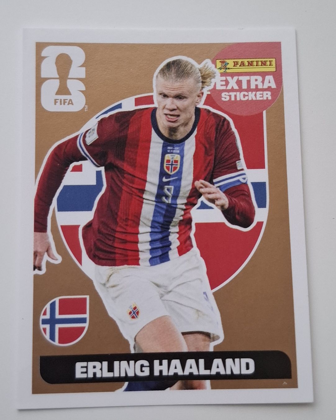 Panini Carte collezionabili: Panini  Erling Haaland EXTRA STICKER! – Nuovo (secondo la descrizione) da Schliern b. Köniz venduto da ahmetugurtokalii