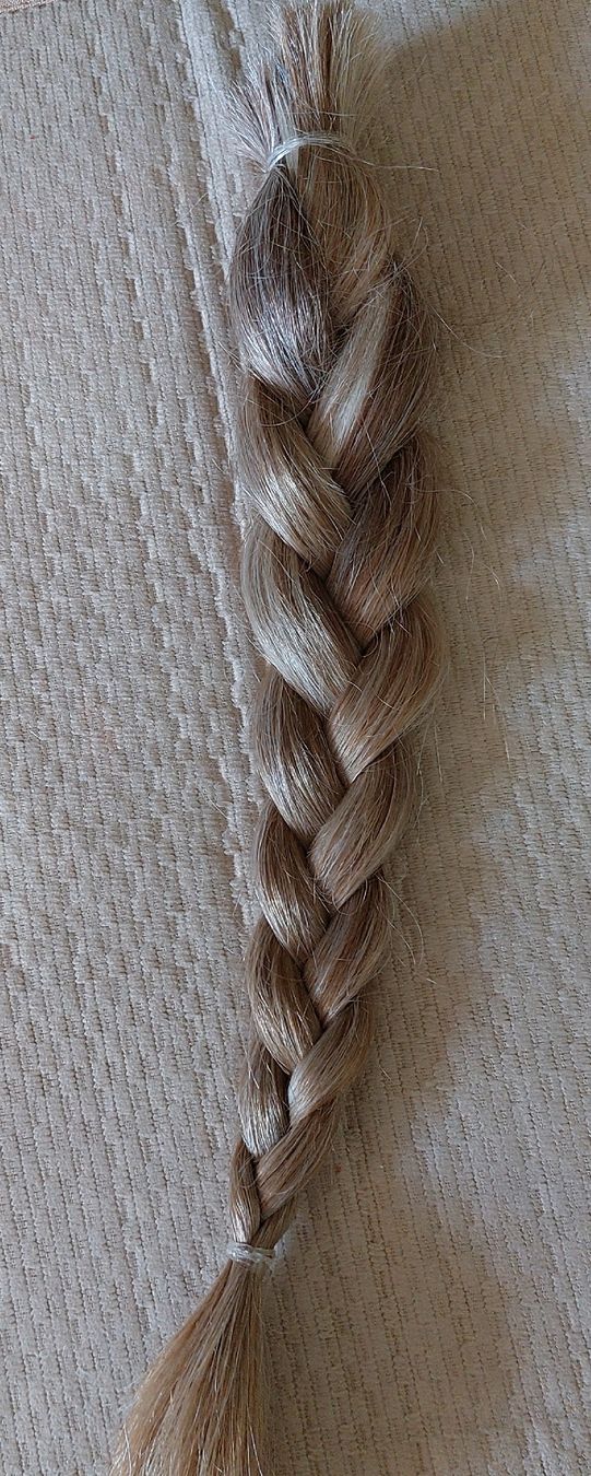 Accessori per capelli: Echthaar Zopf – Usato da Unterägeri venduto da SaLeuen 2