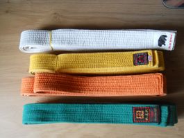 4 Karate Gürtel Set Rhode Budog Bear Brand Länge 280 cm