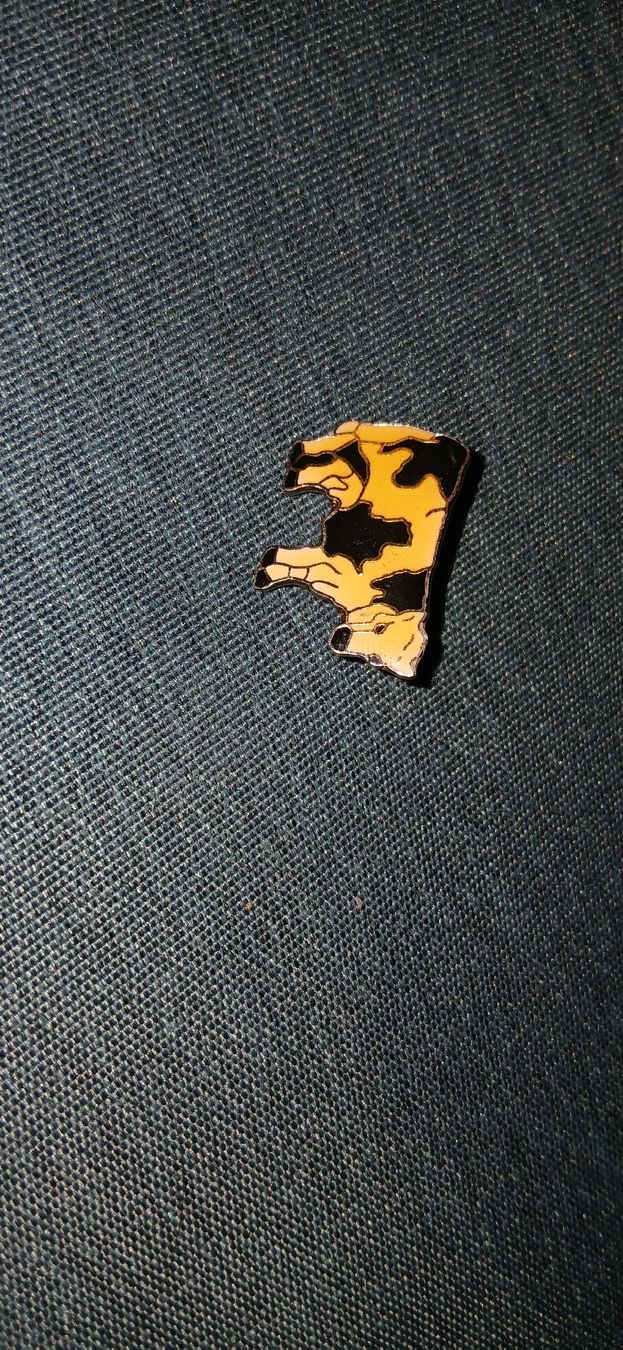 Placchette & Badge: Kuh-Pin – Usato da Bettingen venduto da z_nina11 1