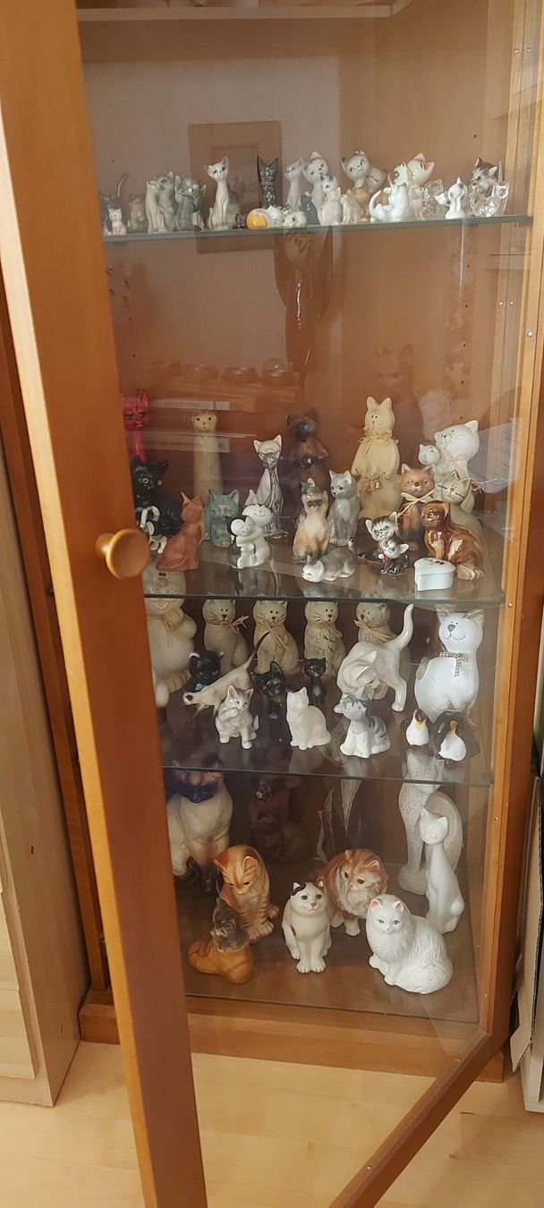 Vitrinen: Vitrine! – Gebraucht aus Rehetobel von Suejoe 6