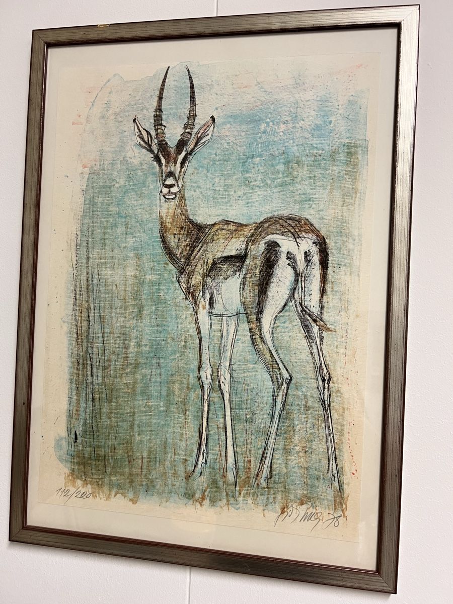 Grafica & Litografie: Fritz hug original Lithographie Antilope – Usato da Hombrechtikon venduto da vespa1954 3