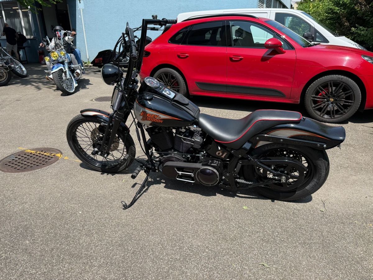 Harley-Davidson Chopper: Harley Davidson Bad Boy Springer – Usato da Ostermundigen venduto da Lexington_100 9