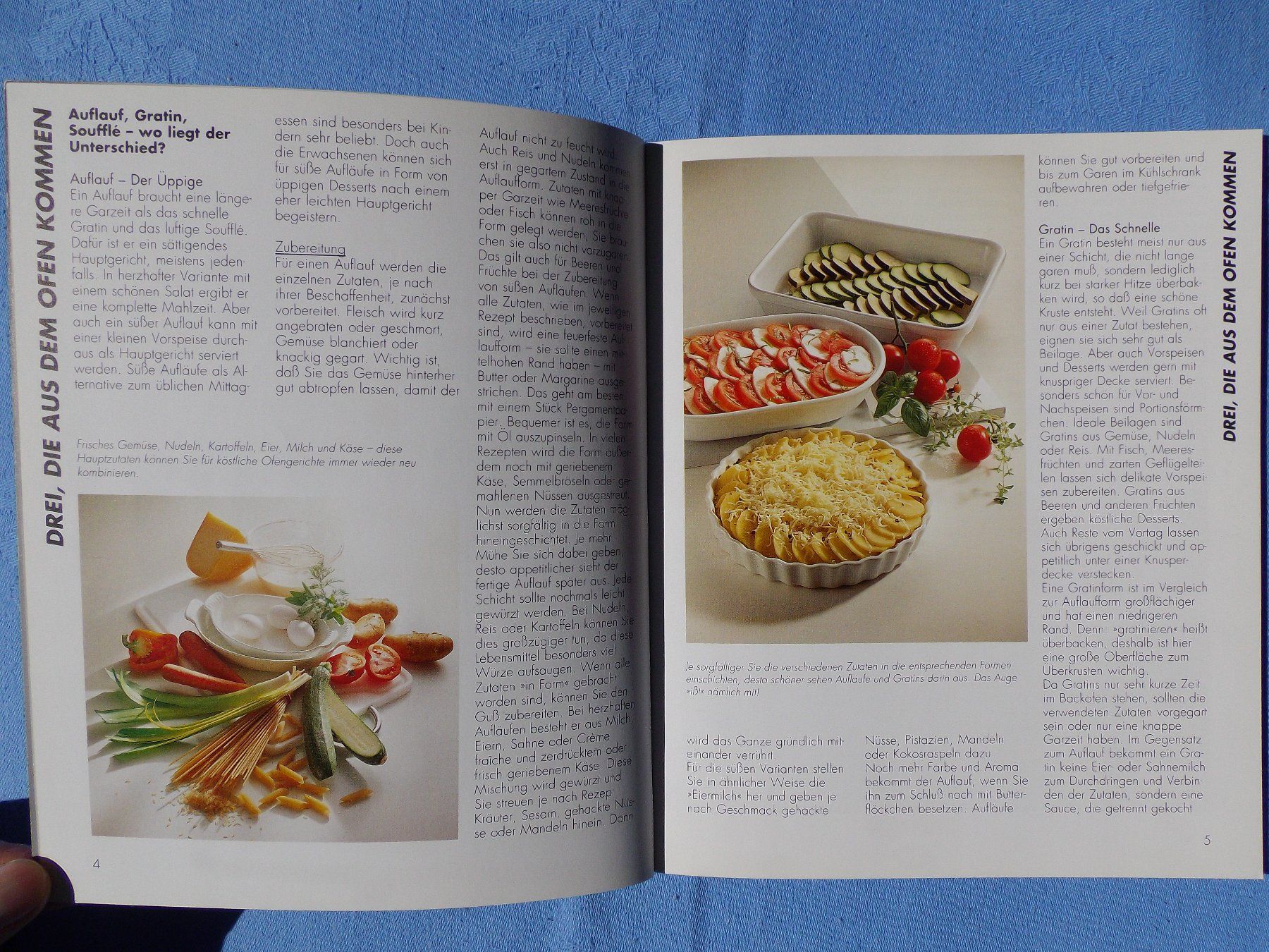 Libri: Aufläufe Gratins & Soufflés – Usato da Uster venduto da urs_75by 4