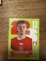 Panini Fifa CAN 14