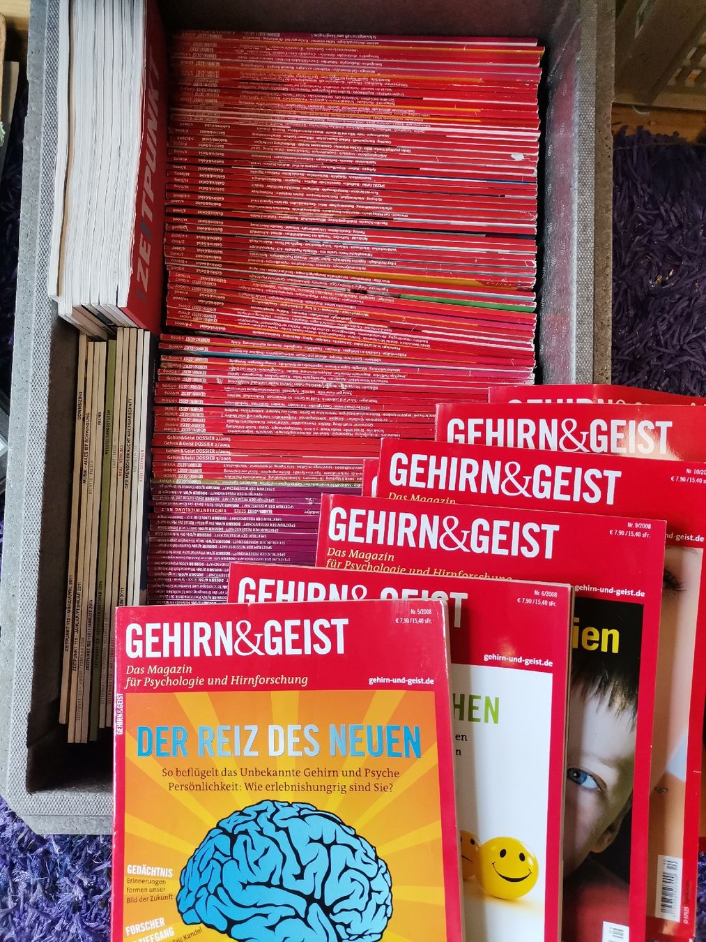 Riviste & Magazine: Grosses Magazin-Paket: Gehirn & Geist – Usato da St. Gallen venduto da Bir_Rer
